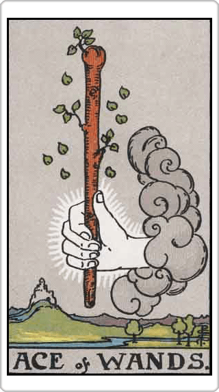 Ace of Wands (1 ไม้)
