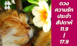 ดวงความรักประจำสัปดาห์ 11 ก.ย. – 17 ก.ย. 66