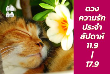 ดวงความรักประจำสัปดาห์ 11 ก.ย. – 17 ก.ย. 66